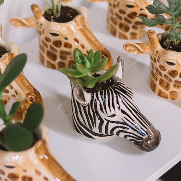 Giraffe Animal Head Planter