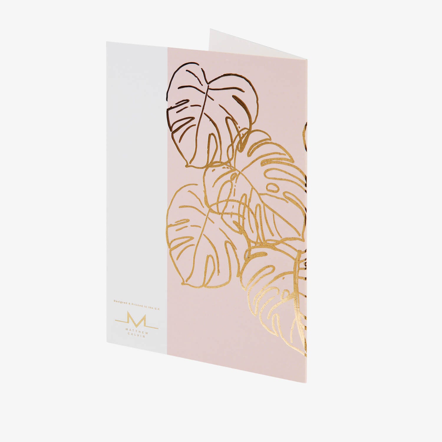 Multi Monstera Greetings Card