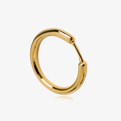 Polar Ring Gold