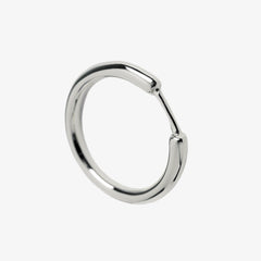 Polar Ring Silver