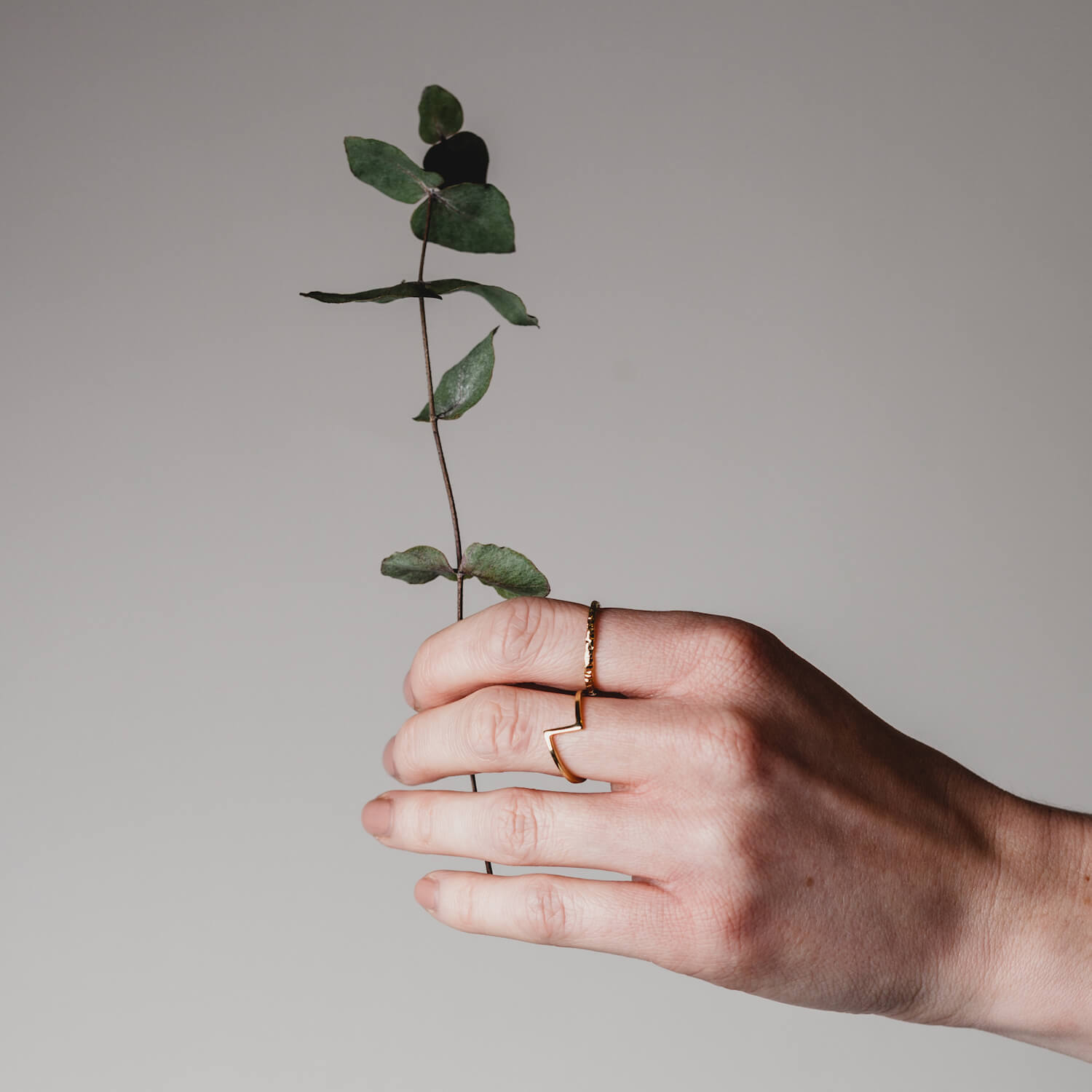A model's hand with two Matthew Calvin rings, one with a geometric style and one with a hammered effect finish