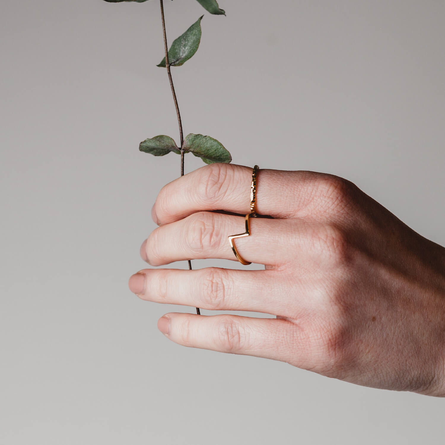 Female hand holding a sprig of eucalyptus, whilst wearing a matthew calvin joint ring in gold and a thin meteorite ring in gold