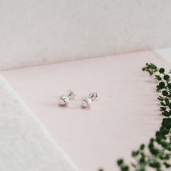 Sterling silver dodecahedron shaped studs photographed with a plant by Matthew Calvin