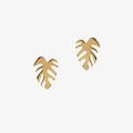 gold monstera leaf shaped earrings by matthew calvin on a white background